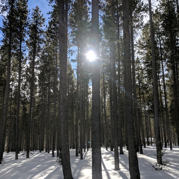 Meet your Posher, Heather - Picture 1 of 1